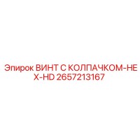2657213167 ВИНТ С КОЛПАЧКОМ-HEX-HD Epiroc