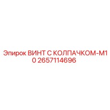 2657114696 ВИНТ С КОЛПАЧКОМ-M10 Эпирок