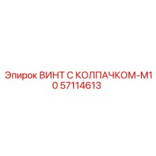 Титановый винт 57114613 с ферромагнитным колпачком М10 для датчиков