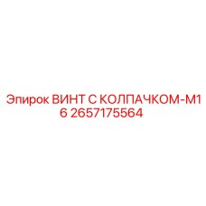 Винт с колпачком-M16 Epiroc артикул 2657175564