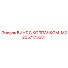 Винт с колпачком-M2 Epiroc артикул 2657175531