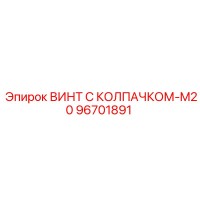 96701891 ВИНТ С КОЛПАЧКОМ-M20 Epiroc