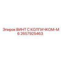 2657925463 ВИНТ С КОЛПАЧКОМ-M6 Epiroc