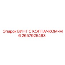 Винт для электронных блоков управления Epiroc артикул 2657925463-M6