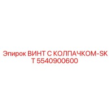 5540900600 ВИНТ С КОЛПАЧКОМ-SKT Epiroc