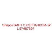 57487597 ВИНТ С КОЛПАЧКОМ-WL Epiroc