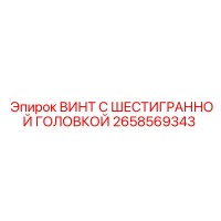 2658569343 ВИНТ С ШЕСТИГРАННОЙ ГОЛОВКОЙ Epiroc