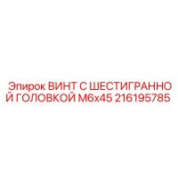 216195785 ВИНТ С ШЕСТИГРАННОЙ ГОЛОВКОЙ M6x45 Epiroc