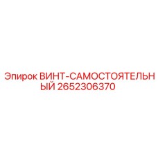 2652306370 ВИНТ-САМОСТОЯТЕЛЬНЫЙ Epiroc