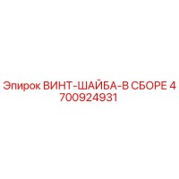 4700924931 ВИНТ-ШАЙБА-В СБОРЕ Epiroc