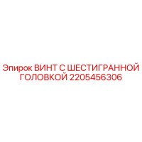 2205456306 ВИНТ С ШЕСТИГРАННОЙ ГОЛОВКОЙ Epiroc