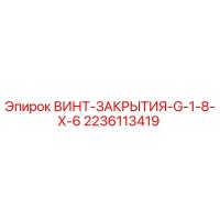 2236113419 ВИНТ ЗАКРЫТИЯ G 1 8 X 6 Epiroc