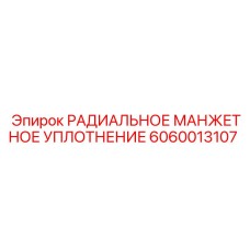 6060013107 РАДИАЛЬНОЕ МАНЖЕТНОЕ УПЛОТНЕНИЕ Epiroc