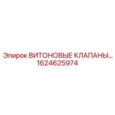 Комплект клапанов с уплотнениями Viton 1624625974