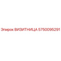 5750095291 ВИЗИТНИЦА Epiroc