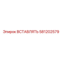 581202579 Вставлять Эпирок Epiroc