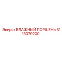 3115079200 ВЛАЖНЫЙ ПОРШЕНЬ Epiroc
