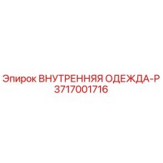 3717001716 ВНУТРЕННЯЯ ОДЕЖДА-P - Epiroc