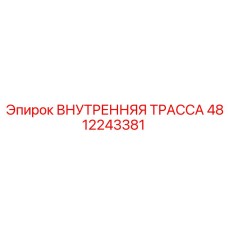 4812243381 ВНУТРЕННЯЯ ТРАССА Epiroc