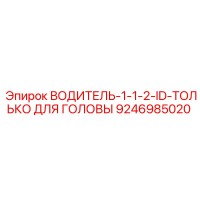 9246985020 ВОДИТЕЛЬ-1-1-2-ID-ТОЛЬКО ДЛЯ ГОЛОВЫ Epiroc