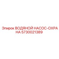 5730021389 ВОДЯНОЙ НАСОС-ОХРАНА Epiroc