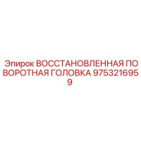 9753216959 ВОССТАНОВЛЕННАЯ ПОВОРОТНАЯ ГОЛОВКА Epiroc