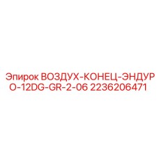 2236206471 ВОЗДУХ-КОНЕЦ-ЭНДУРО-12DG-GR-2-06 Epiroc
