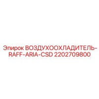 2202709800 ВОЗДУХООХЛАДИТЕЛЬ-RAFF-ARIA-CSD Epiroc
