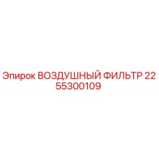 2255300109 ВОЗДУШНЫЙ ФИЛЬТР Epiroc