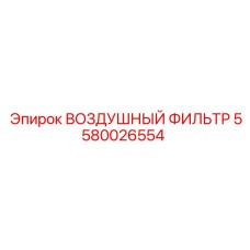 5580026554 ВОЗДУШНЫЙ ФИЛЬТР Epiroc