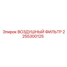 2255300125 ВОЗДУШНЫЙ ФИЛЬТР Epiroc