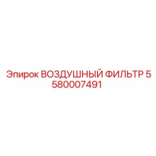 5580007491 ВОЗДУШНЫЙ ФИЛЬТР Epiroc
