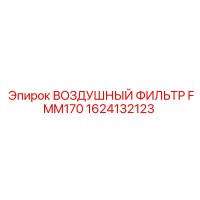 1624132123 ВОЗДУШНЫЙ ФИЛЬТР FMM170 - Epiroc