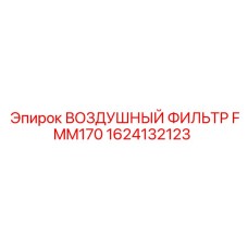 1624132123 ВОЗДУШНЫЙ ФИЛЬТР FMM170 - Epiroc