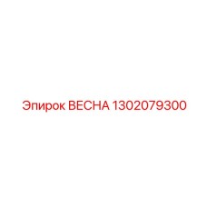 1302079300 ВЕСНА Epiroc