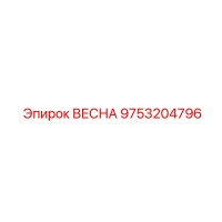 9753204796 ВЕСНА Epiroc