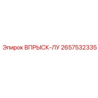 2657532335 ВПРЫСК-ЛУ Epiroc