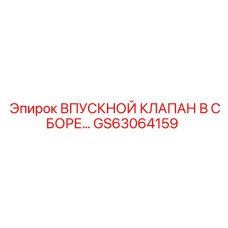 GS63064159 ВПУСКНОЙ КЛАПАН В СБОРЕ Epiroc