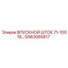 GS63065817 ВПУСКНОЙ ШТОК 71-10018 Epiroc