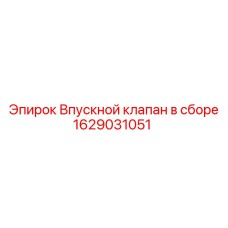 Изображение впускного клапана Epiroc 1629031051 в сборе