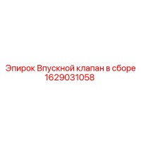1629031058 Впускной клапан в сборе Epiroc