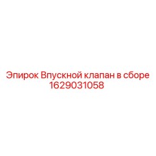Фото клапана впускного Epiroc 1629031058 в комплекте