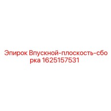 1625157531 Впускной плоскость сборка (Epiroc)