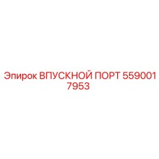 5590017953 ВПУСКНОЙ ПОРТ Epiroc