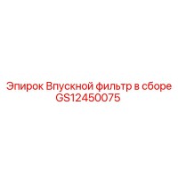GS12450075 Впускной фильтр в сборе Epiroc