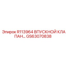 GS63070838 R113964 ВПУСКНОЙ КЛАПАН Epiroc