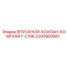 2200900951 ВПУСКНОЙ-КЛАПАН-КОМПЛЕКТ-C106 Epiroc