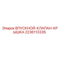 2236113335 ВПУСКНОЙ-КЛАПАН-КРЫШКА - Epiroc