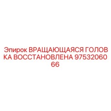 Профессионально восстановленная вращающаяся головка Epiroc 9753206066