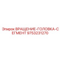 9753231270 ВРАЩЕНИЕ-ГОЛОВКА-СЕГМЕНТ Epiroc